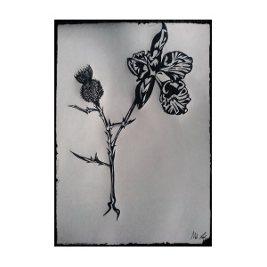 300x300 Scotland Meets Brazil Drawing