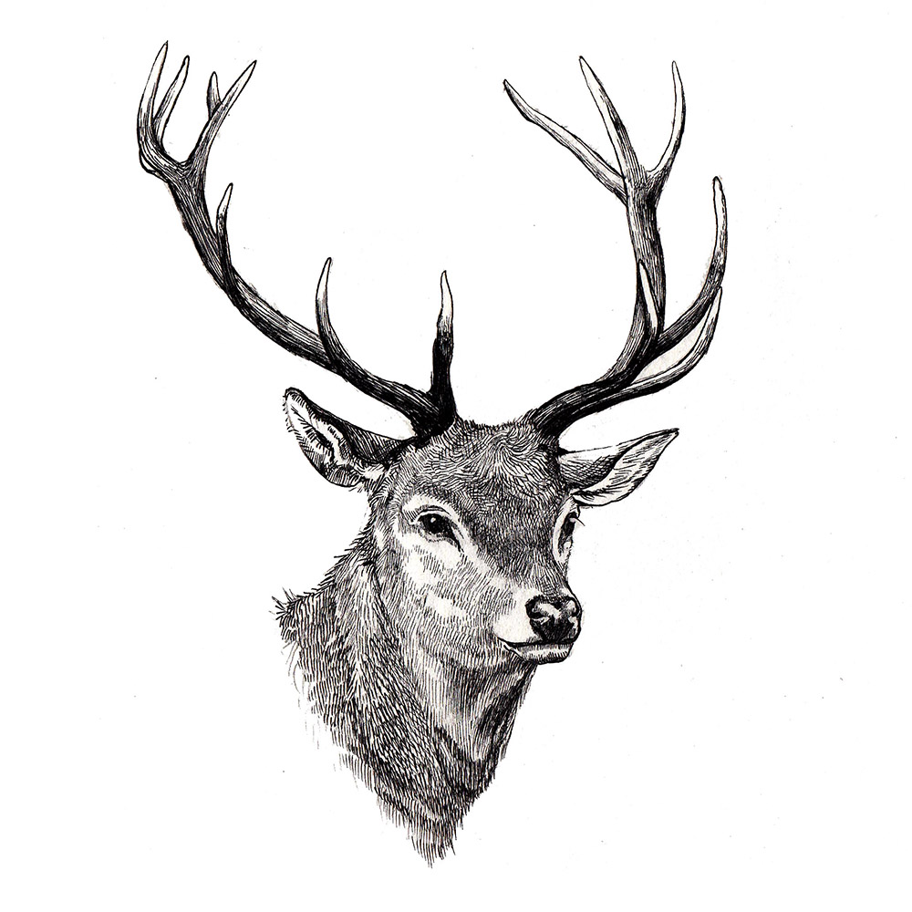 1000x1000 Scotland Joanna Lisowiec