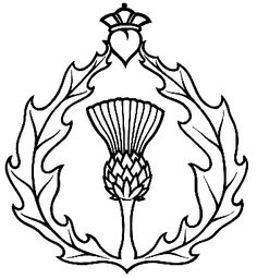 236x256 Simple Thistle Drawing