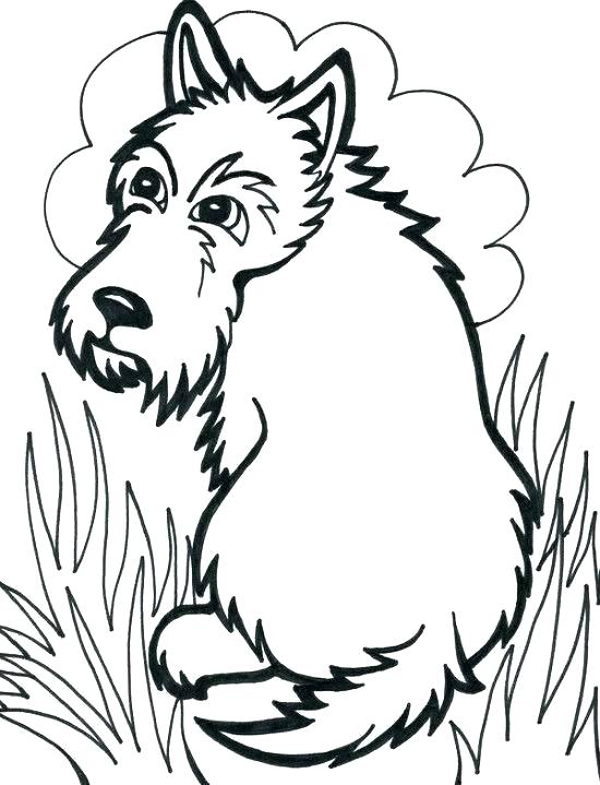 550x719 Scottie Dog Coloring