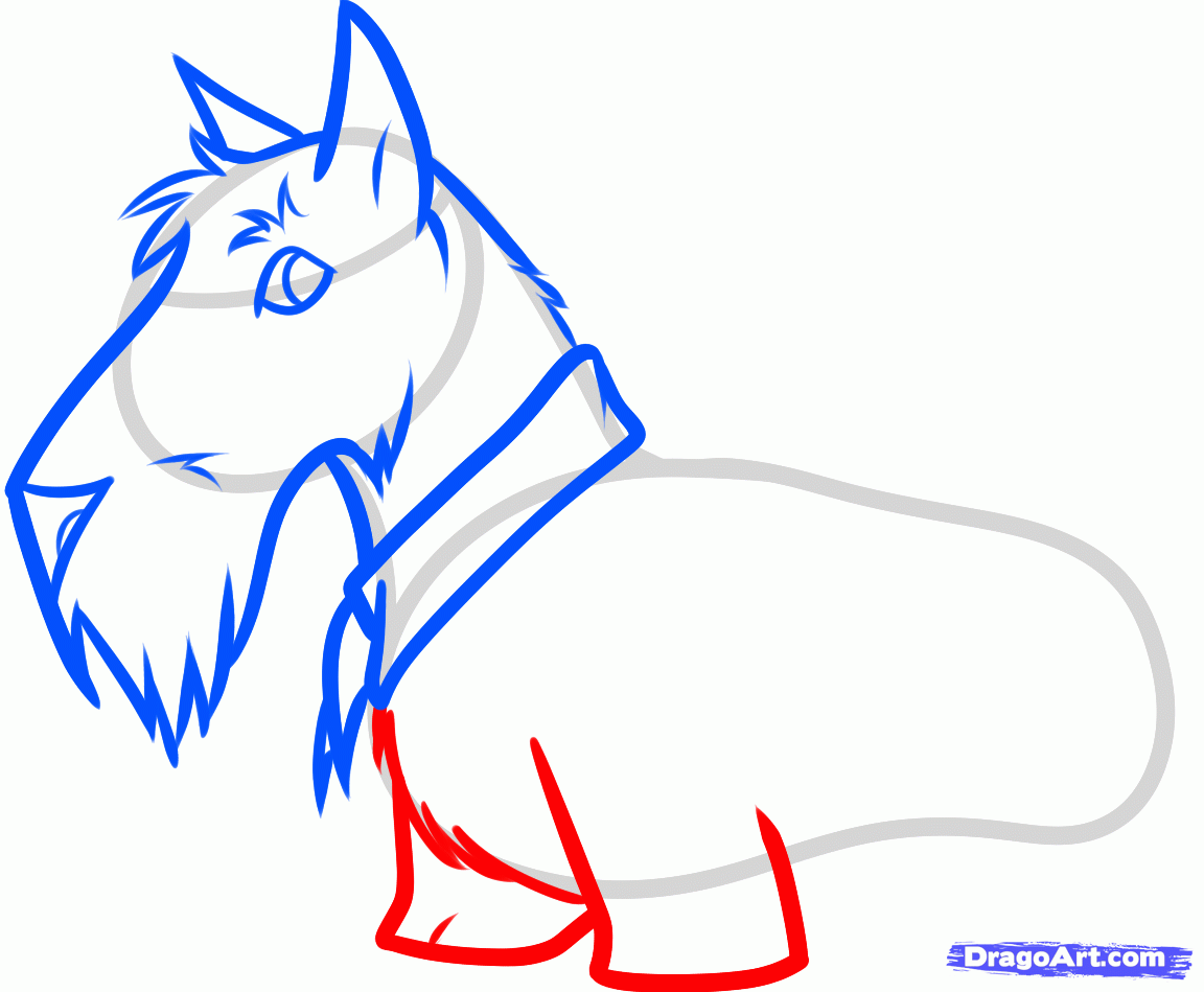 1152x949 How To Draw A Scottie, Scottish Terrier, Step
