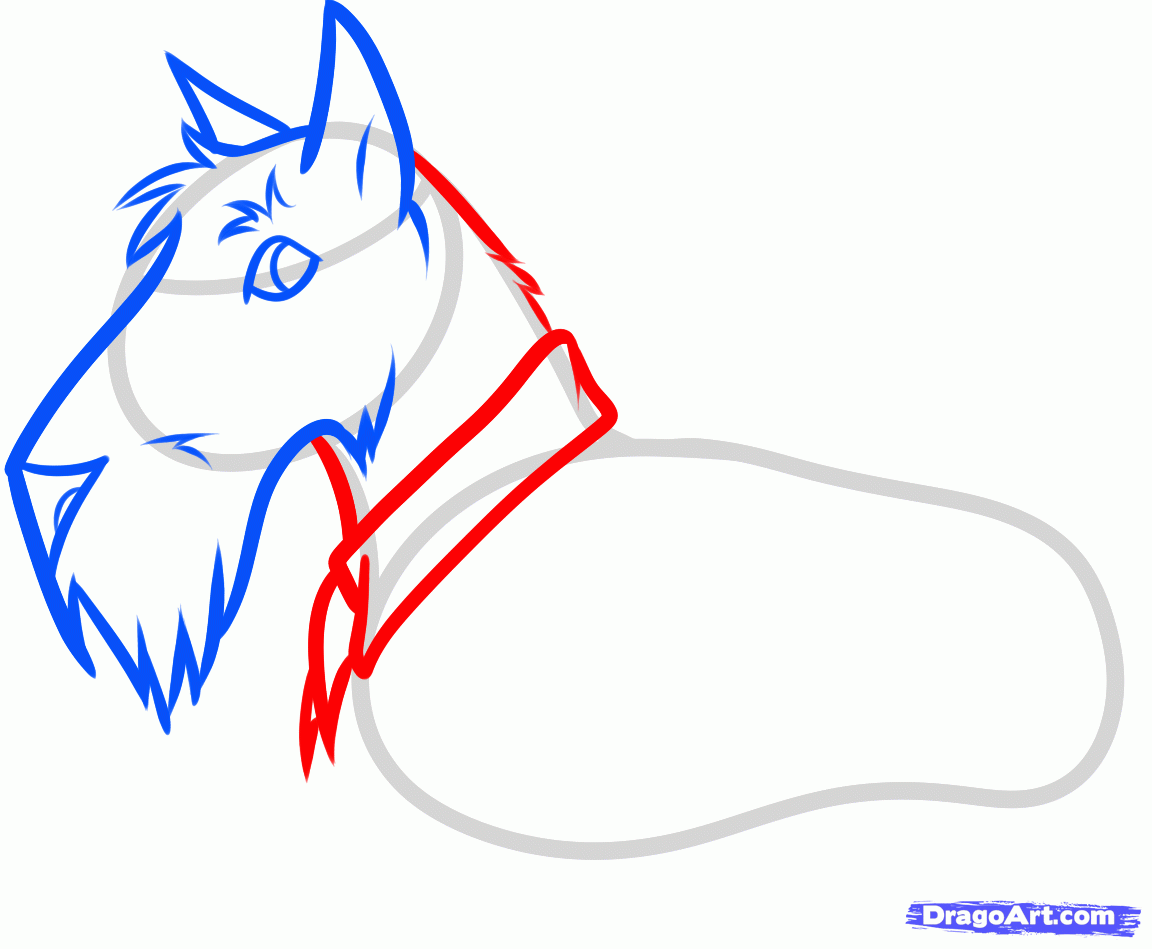 1152x949 Step How To Draw A Scottie, Scottish Terrier