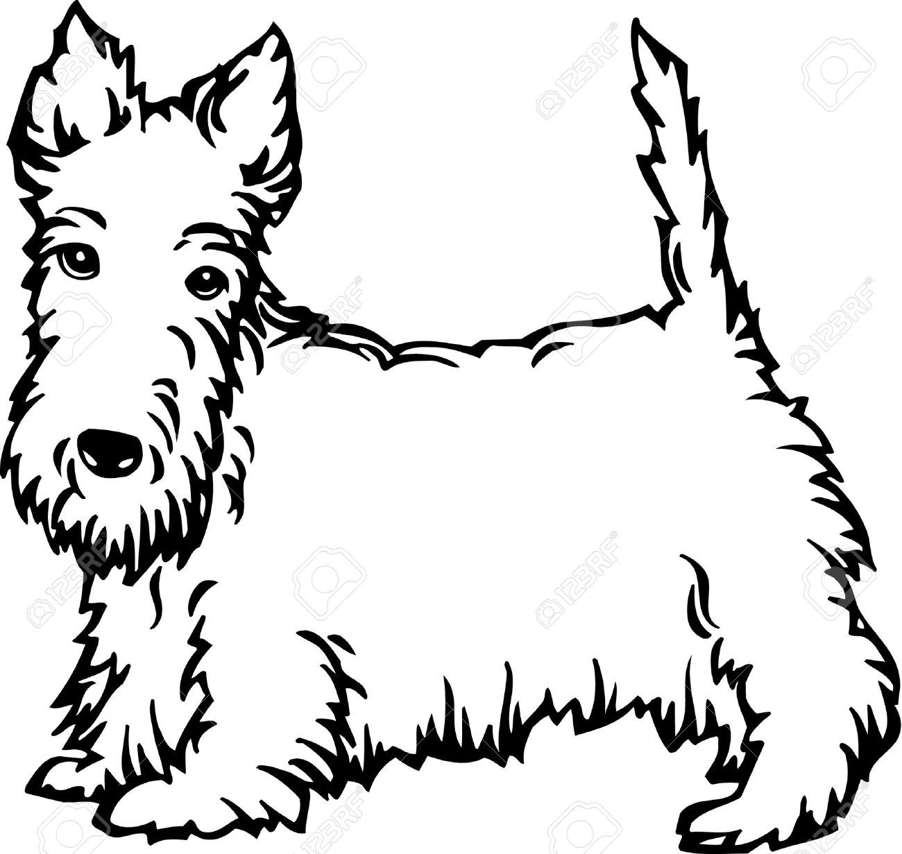 1300x1231 Dogs Dog Outline, Terrier, Scottie Dog