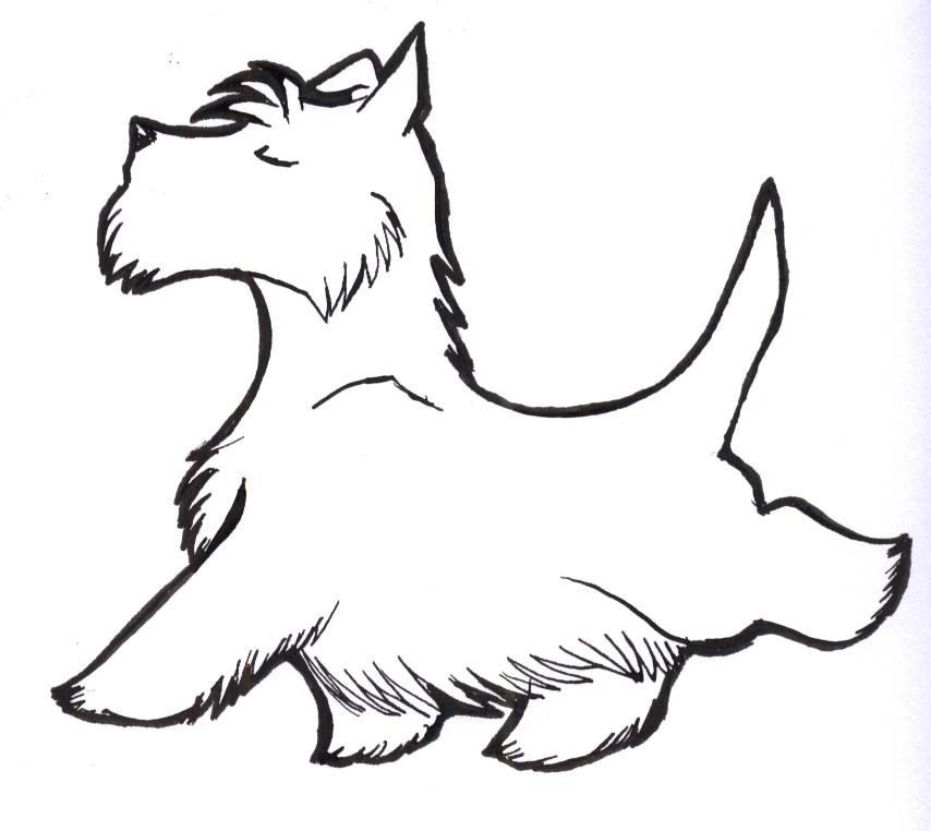 854x762 Scottie Strut, Beatle To A Tee! Dogs Scottie, Westies, Scottie Dog