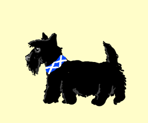 300x250 Scottish Terrier