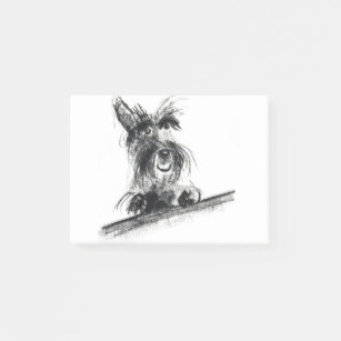 307x307 Scottish Terrier Post Notes