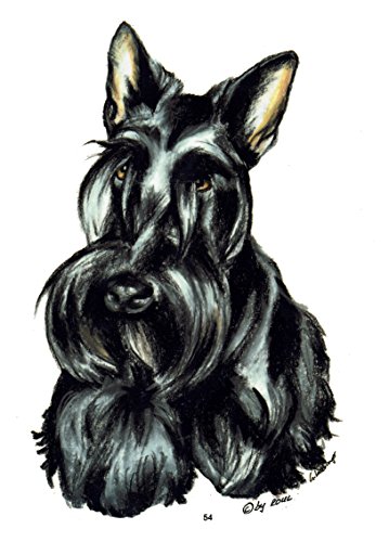 359x500 Scottish Terrier The Best Amazon Price In Savemoney Es