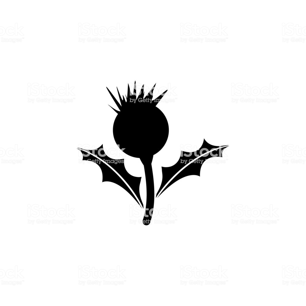 1024x1024 Huge Collection Of 'scottish Thistle Silhouette' Download More