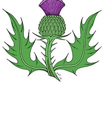 210x230 Scottish Thistle Drawing Kids Babies' Clothes Redbubble
