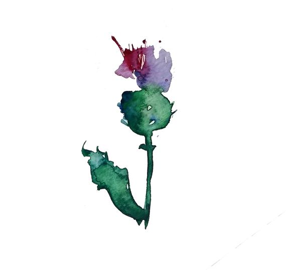 570x538 Scottish Thistle Print Etsy