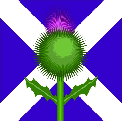 500x499 Scottish Thistle And Flag Free Vector In Open Office Drawing