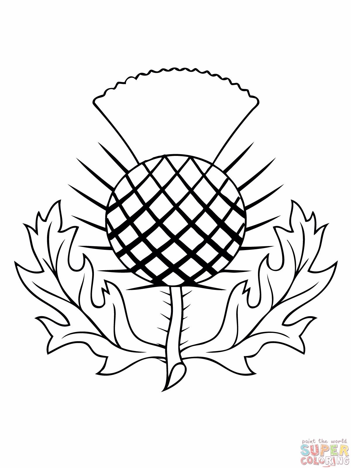 1200x1600 Skirting My Art Scottish Thistle, Coloring Pages