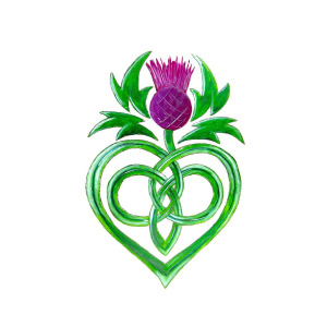 300x300 Celtic Thistle Painting