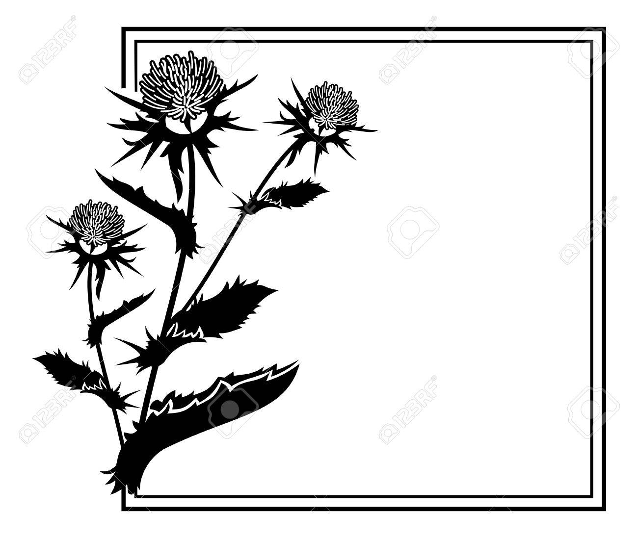 1300x1097 Thistle Clipart Illustration Clip Art