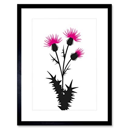 425x425 Painting Illustration Drawing Thistle Flower Scotland