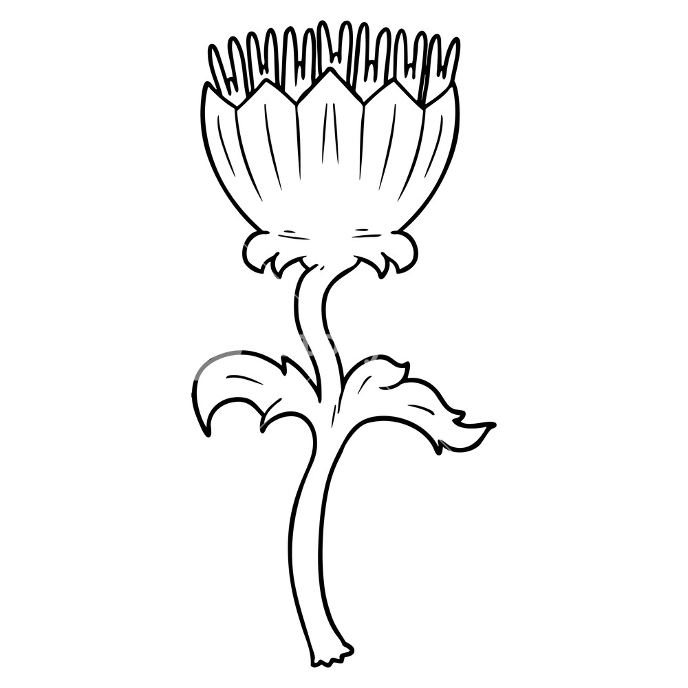 1000x1000 Cartoon Thistle Royalty Free Stock Image