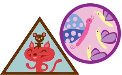 504x313 Girl Scouts Drawing Dumbarton