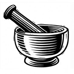 245x245 Pen Ink Illustrations