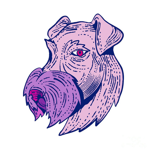 600x600 Scratchboard Art