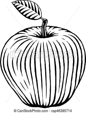 359x470 Vectorized Ink Sketch Of An Apple Vector Illustration