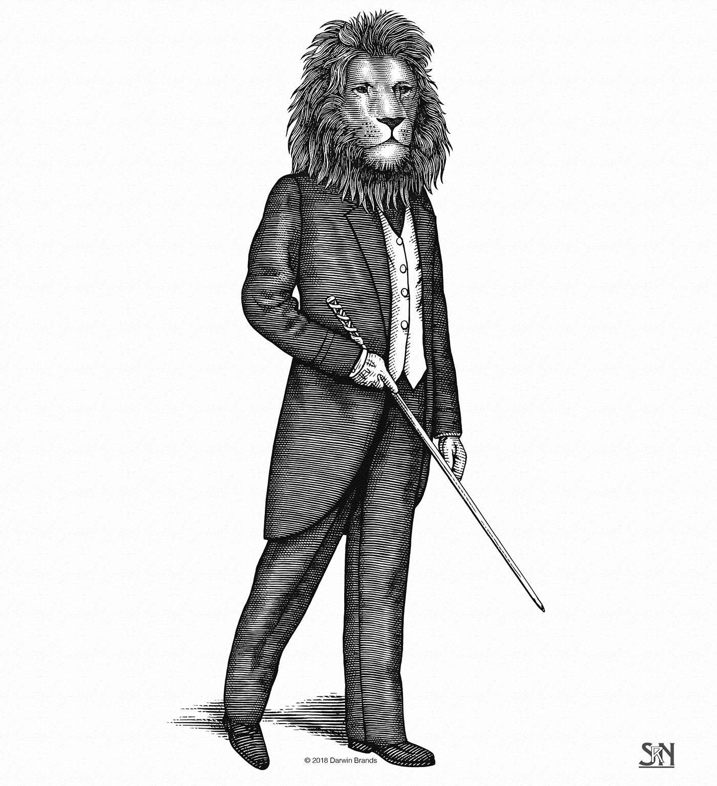 1400x1536 Darwin Brandmark Illustrated