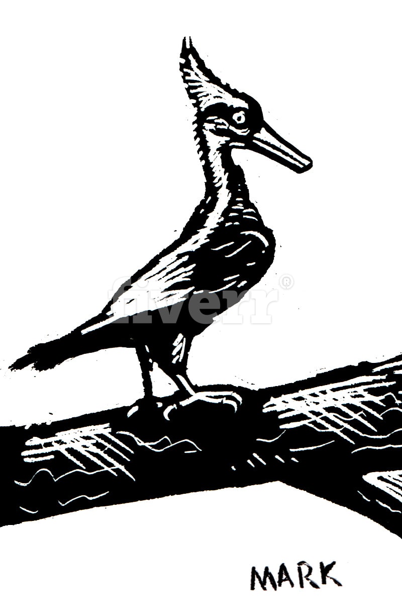 800x1200 Draw You A Tiny Scratchboard Art Card