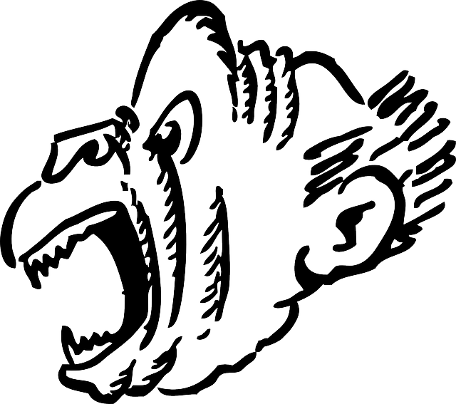 640x567 Free Photo Head Screaming Face Monkey Angry Profile Ape