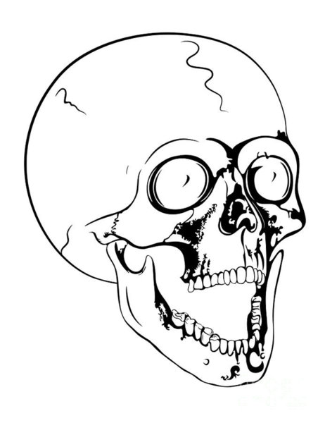 462x600 Screaming Skull Art Fine Art America