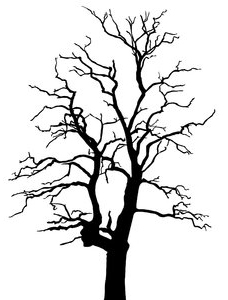 228x300 Screen Printing With Diazo Photo Emulsion