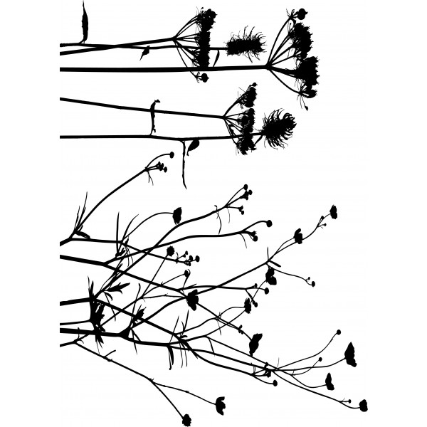 600x600 Simple Pre Burned Botanicals Design For Screen Printing