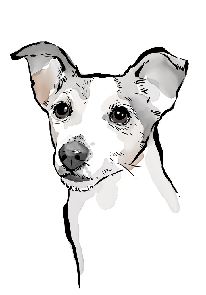717x1024 Custom Dog Portrait Art In Watercolour Style Scribble Print Studio