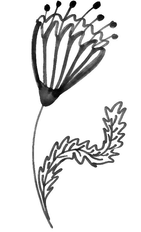 469x768 Lettering Line Drawing Motivation How To Draw Flowers Draw