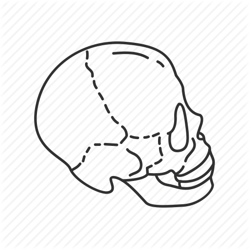 512x512 Collection Of Free Scribble Drawing Science Download On Ui Ex