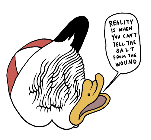 500x464 Why Scrooge Mcduck Ducktales Huey Duck