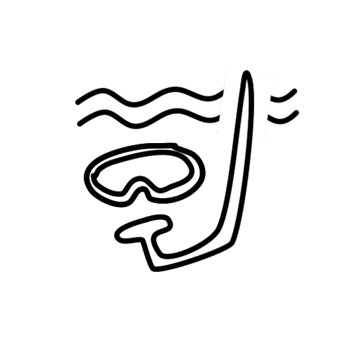 500x500 New Zealand Scuba Diving Sites First Light Travel