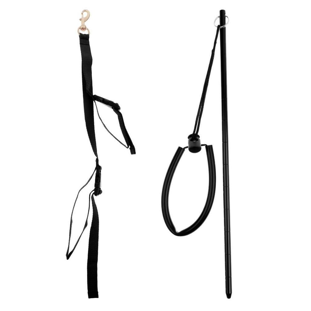 1000x1000 scuba diving dive f mask holder keeper strap + stick pointer