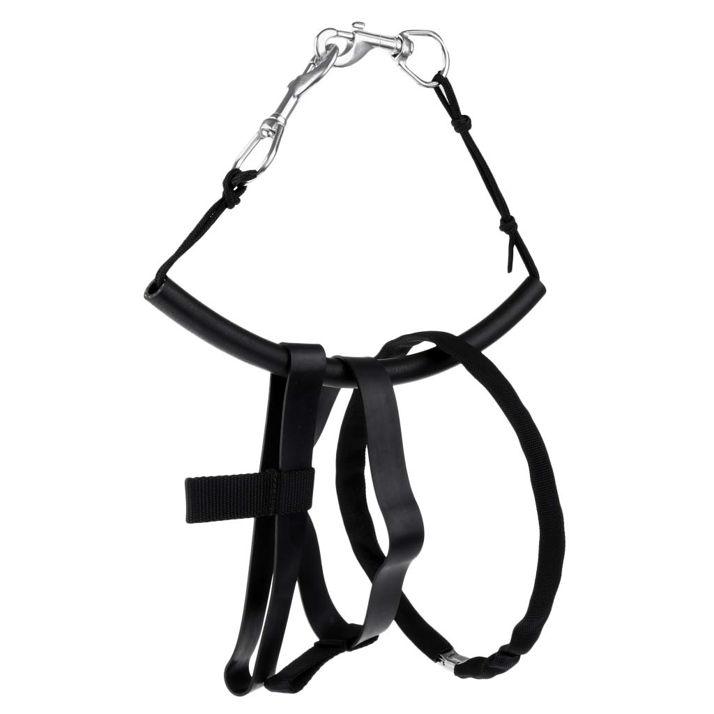 1024x1024 Prettyia Stage Bottle Rigging For Scuba Diving