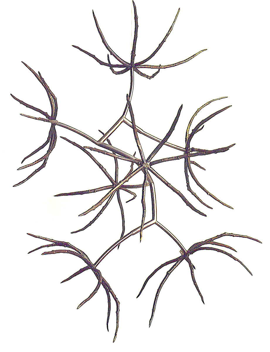 921x1200 Sculpting A Sense Of Place Roaring Fork Lifestyle Magazine