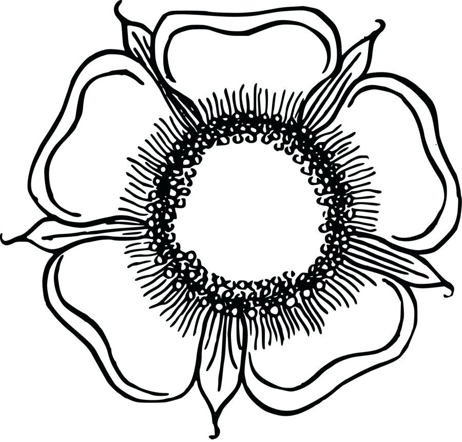 900x860 Flower Drawing Clip Art Magnolia Flower Drawing Clip Art