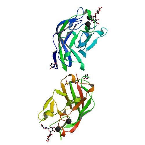 500x500 Rcsb Pdb