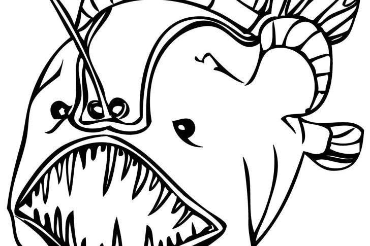 728x485 Sea Anemone Kid