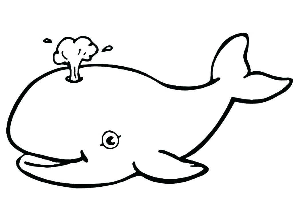 1048x740 Cool Sea Animals Drawings