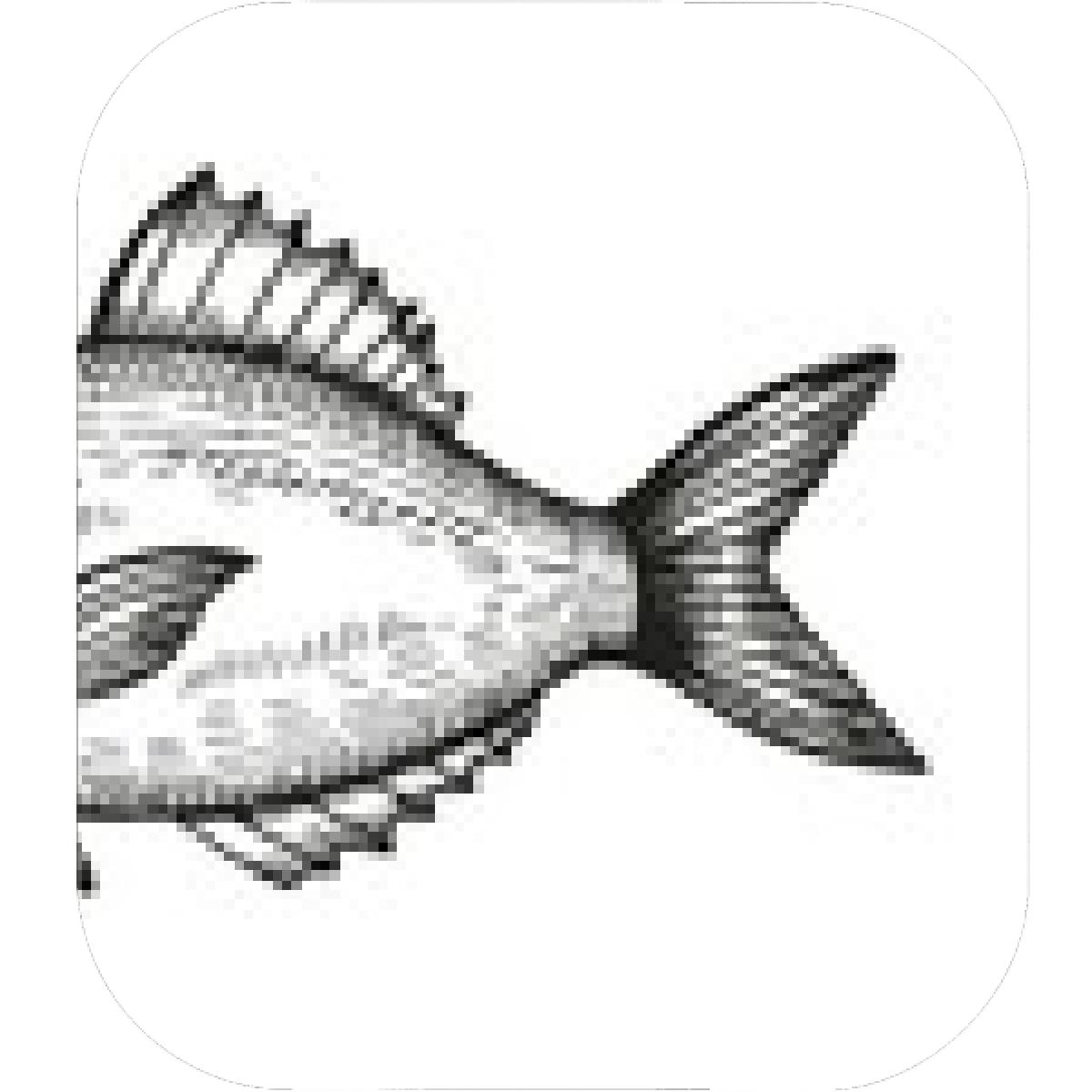 1200x1200 Designs Mein Mousepad Design Mousepad Selbst Designen