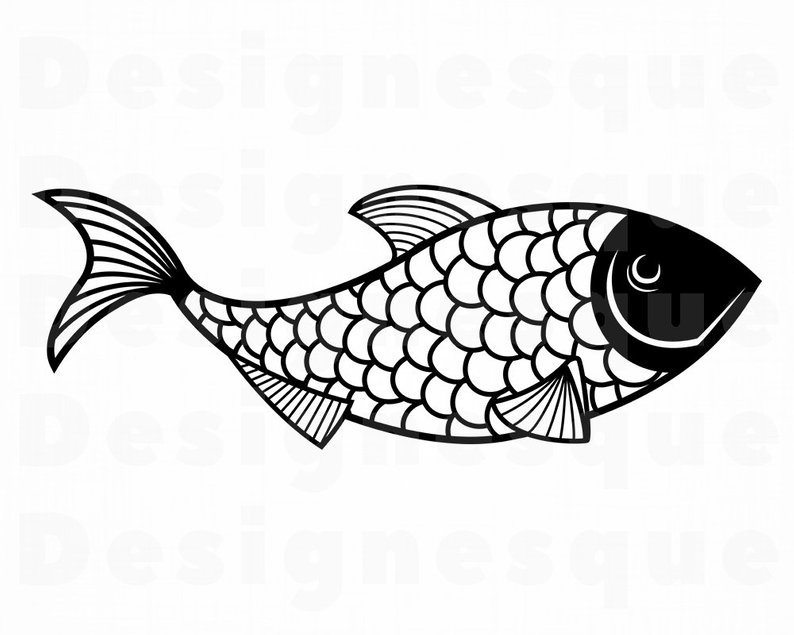 794x635 Fish Fish Fishing Sea Bass Fish Etsy