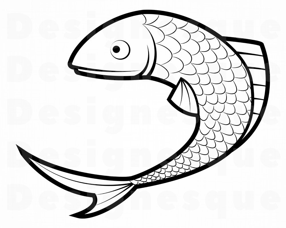 1000x800 Fish Fish Fishing Sea Bass Fish Etsy