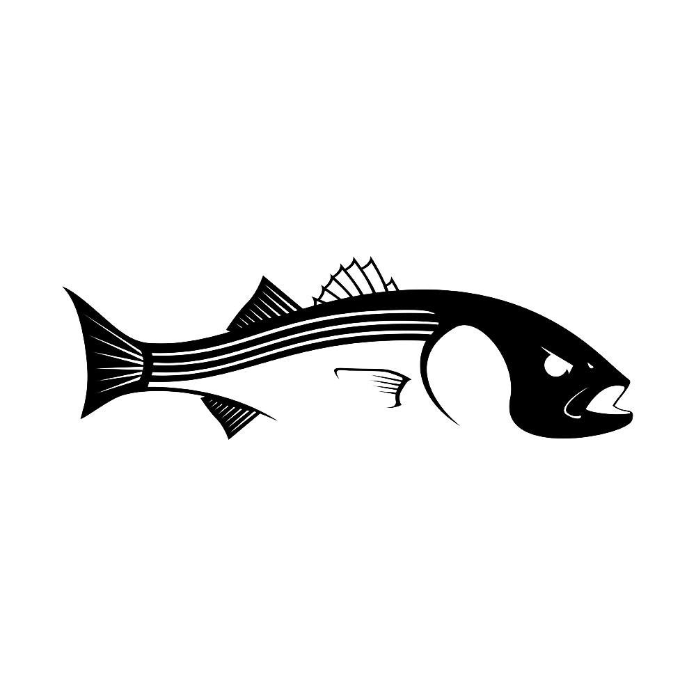 1000x1000 Fishing Drawing Striped Bass For Free Download
