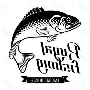 300x300 Vector Illustration Sea Bass Fish Fishing Shopatcloth