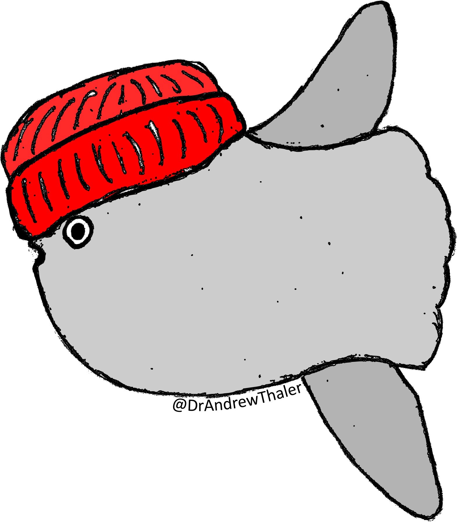 1569x1792 Sea Bass Southern Fried Science