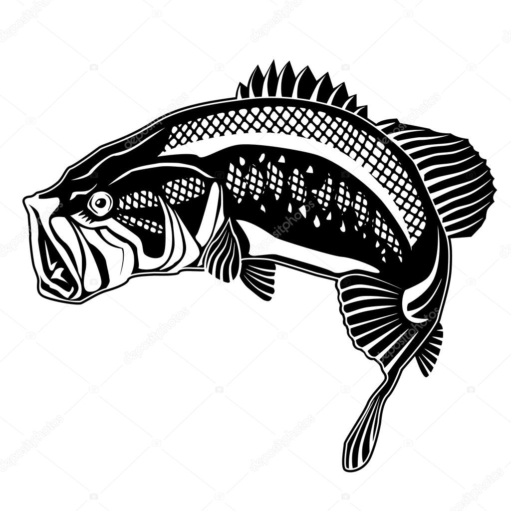1024x1024 Bass Drawing Hunting For Free Download