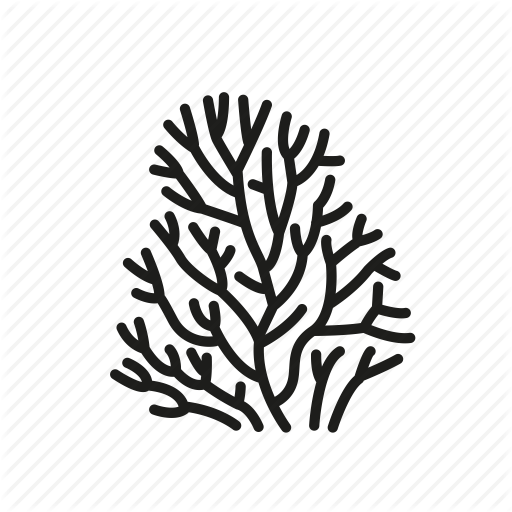 512x512 Collection Of Free Coral Drawing Ocean Bottom Download On Ui Ex